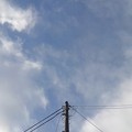 電柱の上の薄い雲（12月15日）