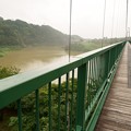Photos: もみじ谷大吊橋
