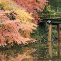 浜松城 日本庭園