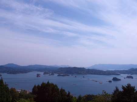 玄海国定公園 イロハ島 の眺めと 花と冒険の島 路傍の花たち