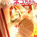 Photos: ネコちゃんとロイズ ～Royce' & Cat