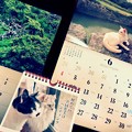 Photos: もう半年 ～水無月にゃんこに恋する6月