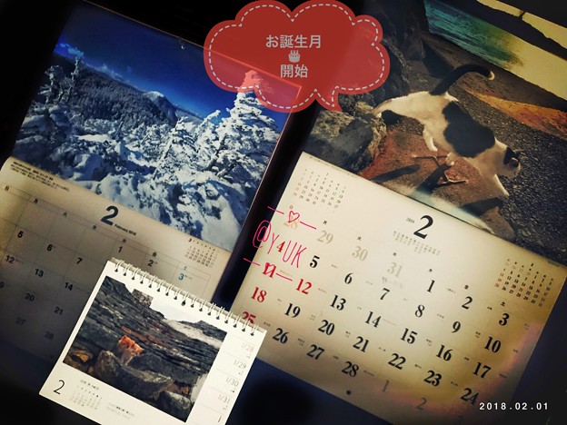 2月お誕生月スタート～カレンダー→岩合光昭にゃんこ静岡～信州長野雪山絶景