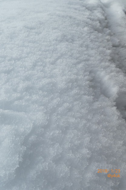 大雪は美味しく綺麗幻想非日常純白潔白～大雪は大変豪雪立ち往生滑り転び切れ交通も道も家も連日雪かき極寒～大雪の翌朝10:41 F3.3絞り優先