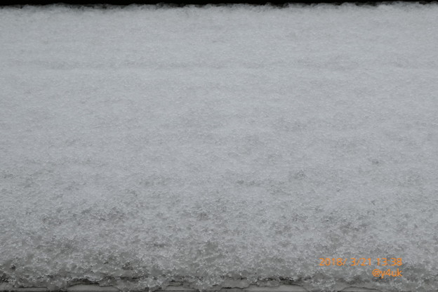 13:38 Spring Snow 春分の日を祝う銀世界の積雪(ズーム73mm)
