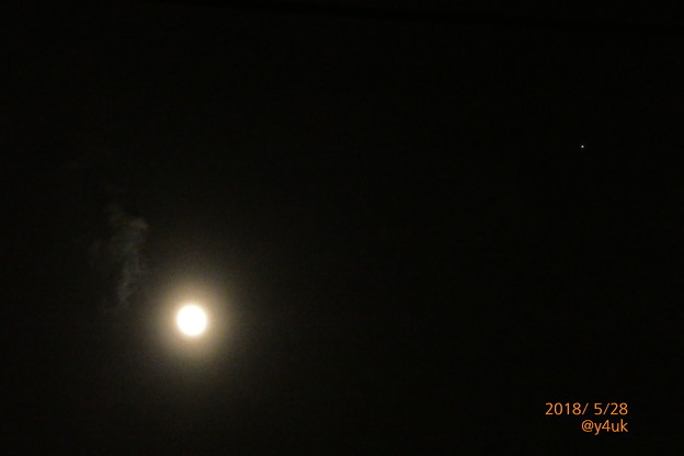 薄雲と月、いつも見つめてくる明るい星☆仲良し(°▽°)月暈 光環～Flower moon, cloudy &amp; star [手持ち 130mm]