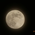 Photos: Flower Moon 5月の満月、薄雲の中から～窓から見えて手持ち速写[1500mm 60倍]