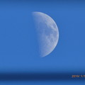 Photos: カサカサお肌の半月、電線の向こう～きみも見ただろうか？現在も覚えてるだろうか？元気でいるだろうか？あの時に戻りたい～寒い連日乾燥。青い空の真下で～Halfmoon(1500mm/ISO80:TZ85)