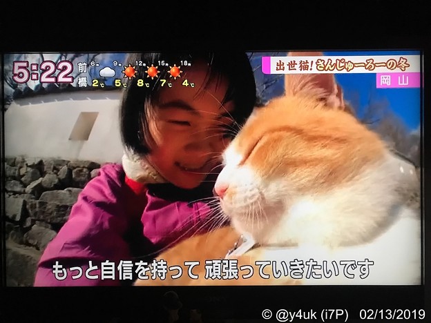 Photos: NHK“岡山・備中松山城に元野良猫さんが城主に”30分も上にあるお城でも“さんじゅーろー”会いたくて大人気！人懐っこい。少女は嬉しくて号泣「自信を持って頑張っていきたいです」猫は生きる力になる会いたい
