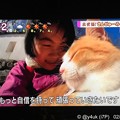 NHK“岡山・備中松山城に元野良猫さんが城主に”30分も上にあるお城でも“さんじゅーろー”会いたくて大人気！人懐っこい。少女は嬉しくて号泣「自信を持って頑張っていきたいです」猫は生きる力になる会いたい