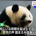 Photos: NHK首都圏ネットワーク“シャンシャン中国への返還、来年12月末まで延長”「日本にいる時期を伸ばしてほしい。都民の声 踏まえ中国側と協議」辛い暗い日々に朗報ハッピーニュースキター(●´ω｀●)会いたい