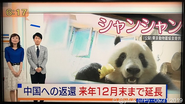 NHK首都圏ネットワーク“シャンシャン中国への返還、来年12月末まで延長”辛い暗い偏見の日々に朗報ニュースキター(●´ω｀●)やはり元気笑顔の源大好きでも愛するほど複雑心境きみ人生思えば別れたほうが…