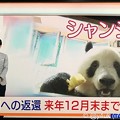 Photos: NHK首都圏ネットワーク“シャンシャン中国への返還、来年12月末まで延長”辛い暗い偏見の日々に朗報ニュースキター(●´ω｀●)やはり元気笑顔の源大好きでも愛するほど複雑心境きみ人生思えば別れたほうが…