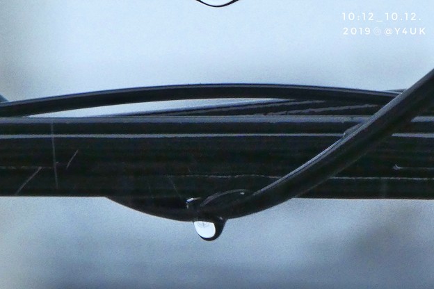 10:12_10.12Raindrop cable art at super-typhoon19台風19号接近電線に雨の雫フィルム風「猫飼ってて避難できなくて…(1500mm/ISO500:TZ85)