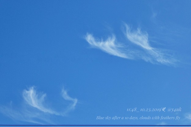 Photos: 11:48_10.23Blue sky after a 10days, clouds with feathers fly～10.13台風一過ぶりの青空、羽が飛ぶ雲踊る秋晴れと電線(82mm:TZ85)