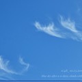 Photos: 11:48_10.23Blue sky after a 10days, clouds with feathers fly～10.13台風一過ぶりの青空、羽が飛ぶ雲踊る秋晴れと電線(82mm:TZ85)