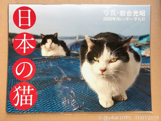 10.29即注文11.1着“日本の猫カレンダー2020”岩合光昭さんのは何十年も毎年購入！ねこ写真家最強！写真が生きてる！買えてよかった！生きる支え。ずっと眺めてられる。激安なのも優しい人柄からか猫か