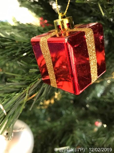12.2旅先その5.毎年恒例XmasTreeからのPresent Box Red～1年ぶりの再会☆ここのクリスマスツリーも些細で小さいけど毎年楽しみに12月あえて予約し来ること13年～変わらぬ優しさ☆