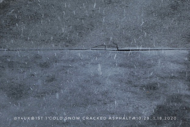 Photos: 10:29_1.18.2020＊1st 1℃old Snow Cracked Asphalt～今冬初雪1℃は降る午前。やっと冬らしい凍える日でした病気になるがシャキッともする時折天使は舞い降りこれぞ冬