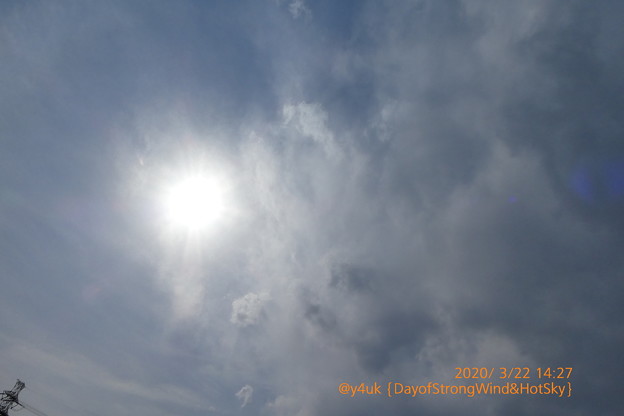 3.22 Day of Strong wind &amp; Hot sun cloud sky～30℃急すぎる暑さ次日15℃(~_~;)強風も春の風と思えず台風と新型コロナにホコリ舞う異常気象＊東京もぅ桜満開