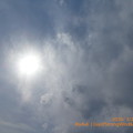 Photos: 3.22 Day of Strong wind & Hot sun cloud sky～30℃急すぎる暑さ次日15℃(~_~;)強風も春の風と思えず台風と新型コロナにホコリ舞う異常気象＊東京もぅ桜満開