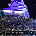 高知城光の祭り