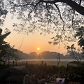 Photos: 1月21日のヤンゴンの朝 (14)