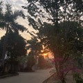 2月19日のヤンゴンの小区の朝 (1)