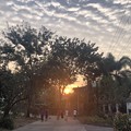 2月19日のヤンゴンの小区の朝 (2)