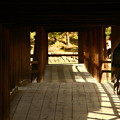 Photos: 東福寺 (3)