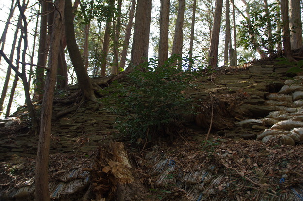 Photos: 小倉城跡の緑色片岩の石垣