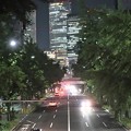 Photos: 名古屋　桜通り
