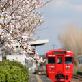 Photos: 春の駅