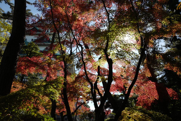 名古屋の秋