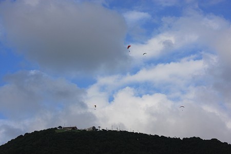 大空にパラグライダー(1)