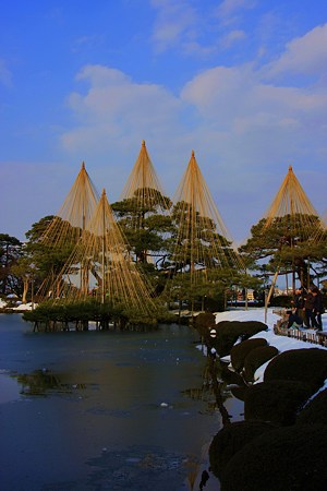 兼六園雪つり