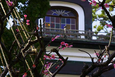 尾山神社神門と梅