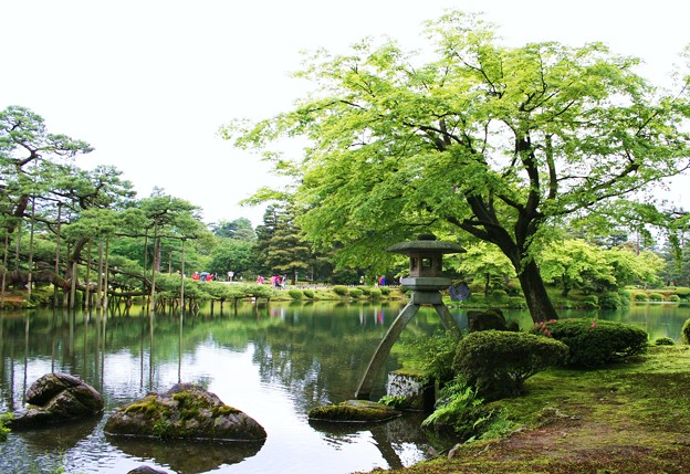 徽軫灯籠と唐崎松 霞ヶ池 写真共有サイト フォト蔵