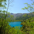 Photos: オコタンペ湖