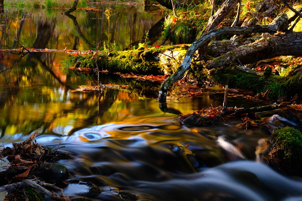 Photos: 紅葉に染まる渓流　その３