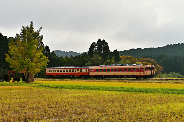 Photos: いすみ鉄道キハ28+キハ52普通列車104D