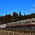 Photos: 東武鉄道6050系（リバイバル塗装）