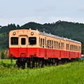 Photos: 水田地帯を行く小湊鐵道キハ200