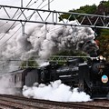 Photos: D51 498+旧型客車臨時快速SLぐんまみなかみ号水上発車