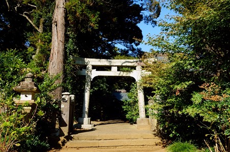 松虫姫神社