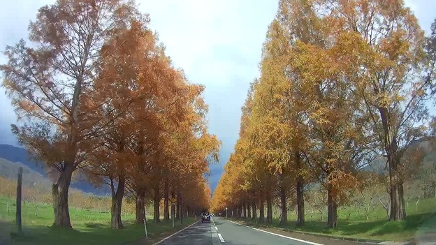 Autumn Highway