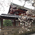 Photos: 御香宮神社・本殿2
