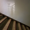 Photos: 階段の影