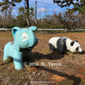 Photos: ゾウとパンダ