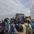 Photos: 雪の大谷ウォーク 2019